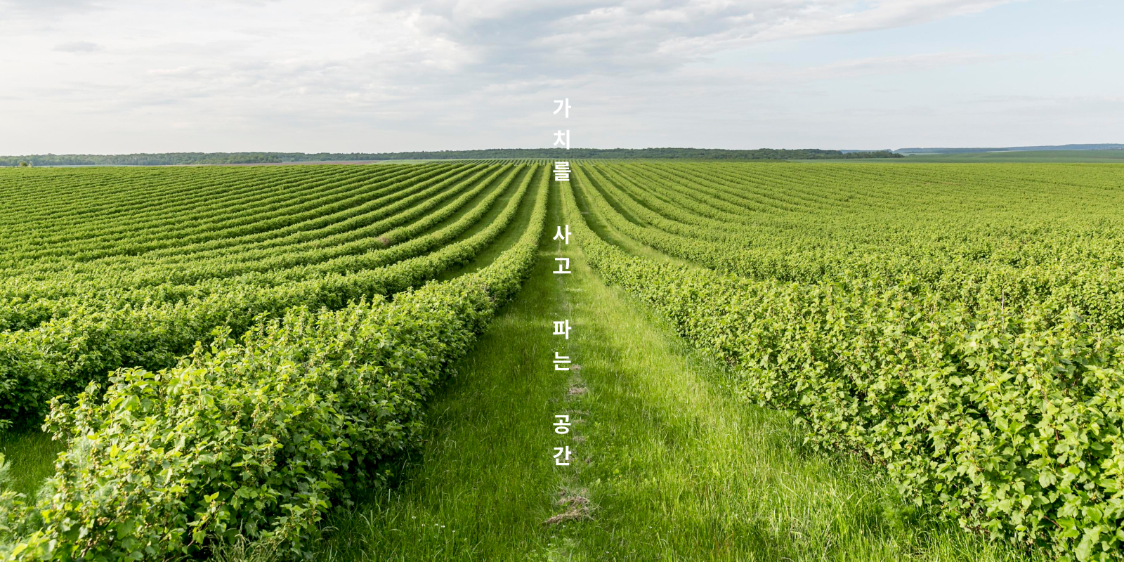 브랜드스토리메인배경