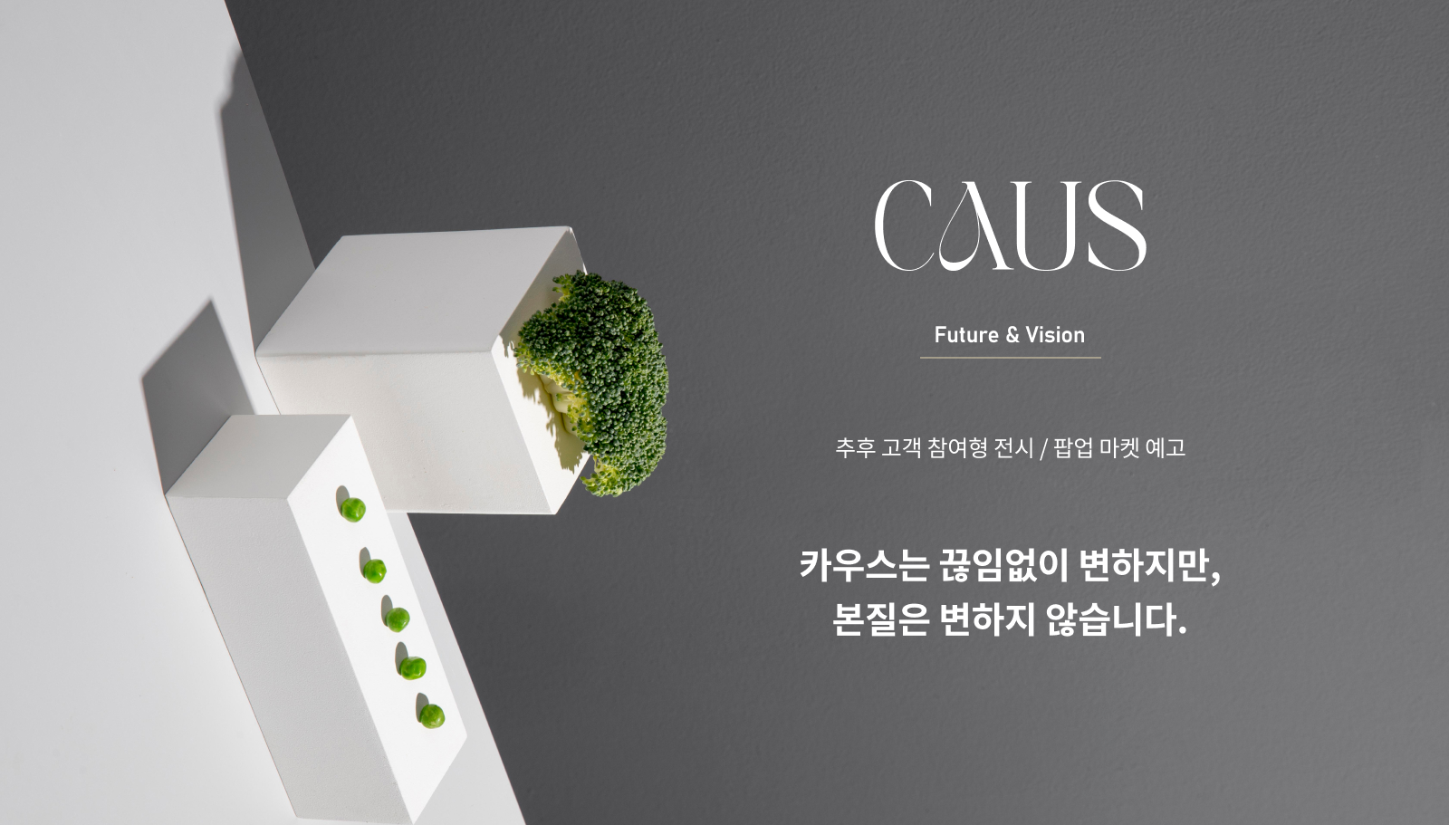 배너